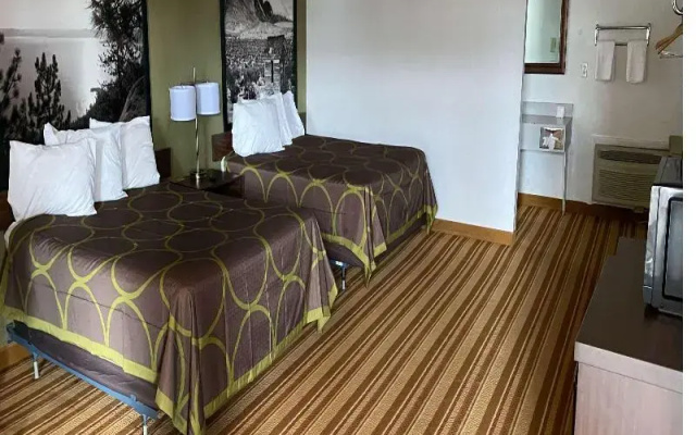 Standard room with pool view