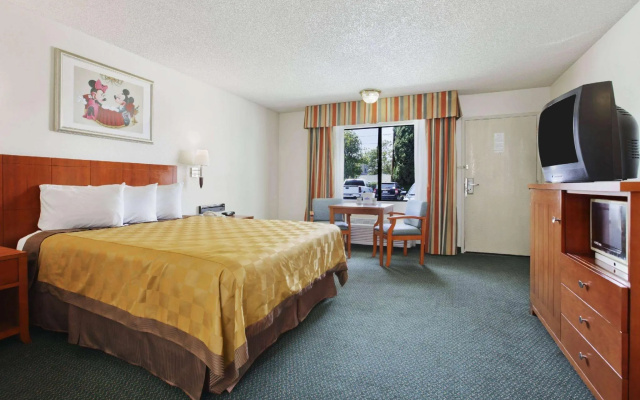 Standard Double room