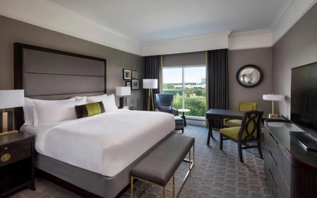 Deluxe Double room with park view