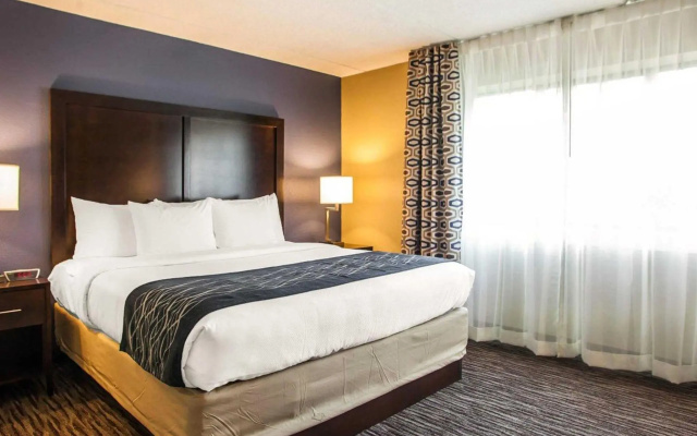 Superior Suite