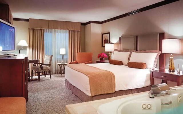Double Suite with river view