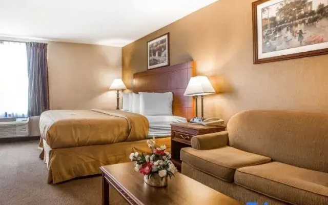 Suite
