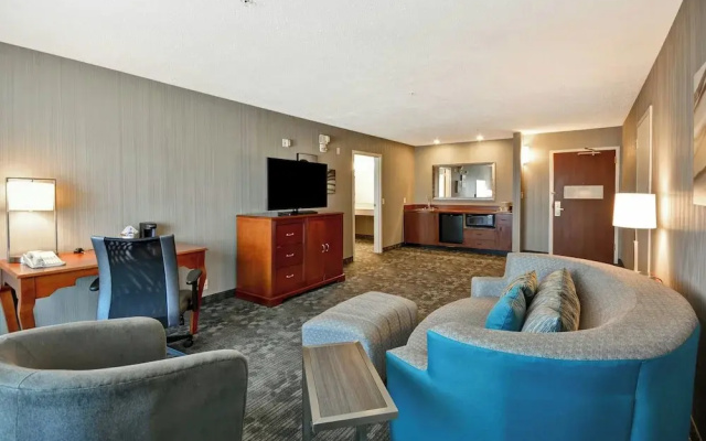 1 Bedroom Suite