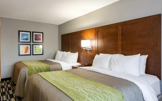 Standard Double room