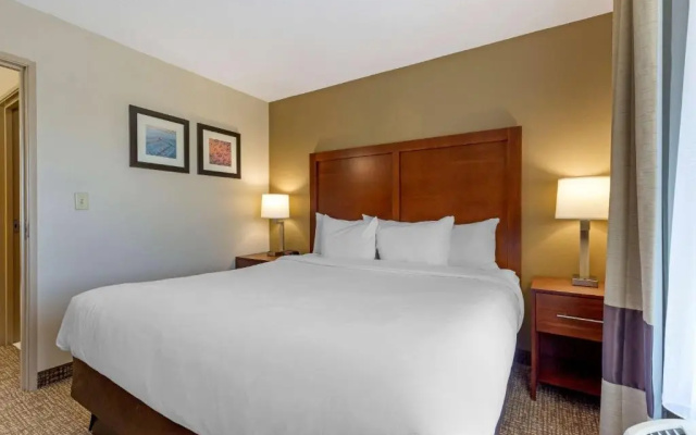 1 Bedroom Double Suite