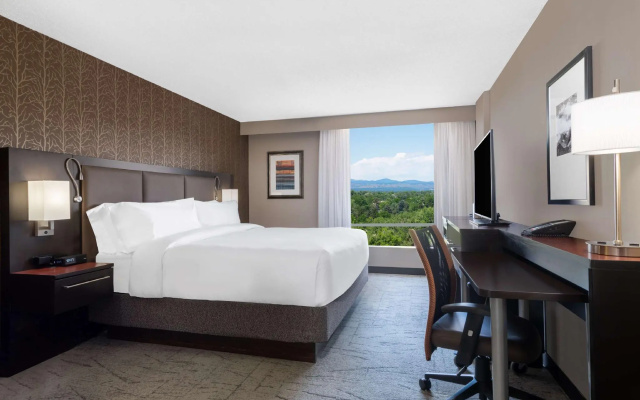 Standard Double room with mountain view