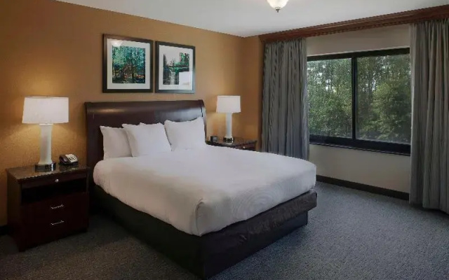 Premium Suite