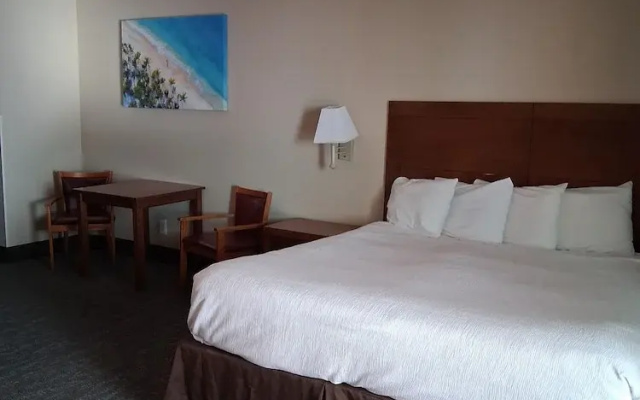Double Studio with balcony