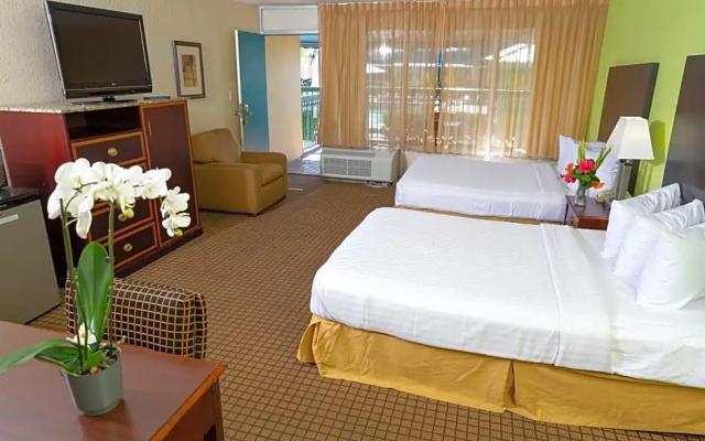 Standard Quadruple room with pool view