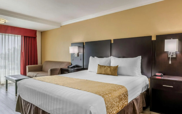 Double Junior Suite