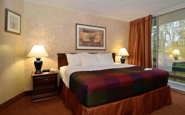 1 Bedroom Suite