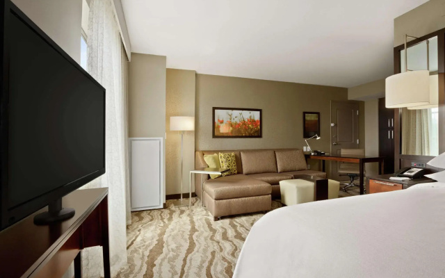 Mobility Accessible Double Studio Suite