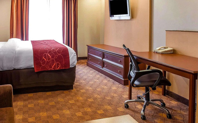 1 Bedroom Suite
