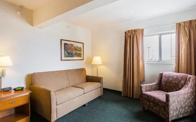 Standard Suite