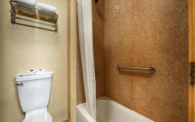 Standard Suite