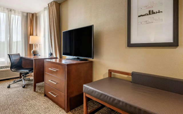 1 Bedroom Suite