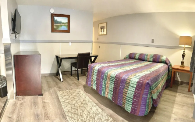Standard Suite