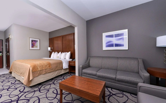 1 Bedroom Suite