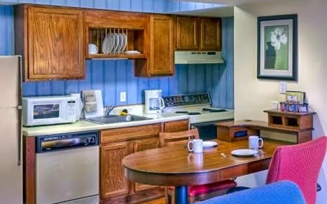 1 Bedroom Suite