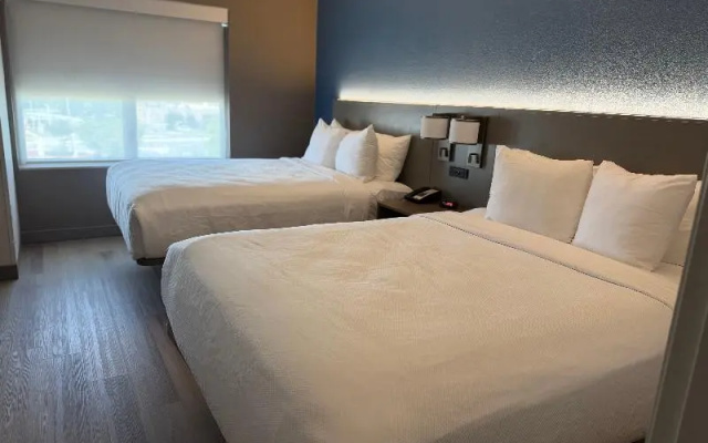1 Bedroom Quadruple Suite