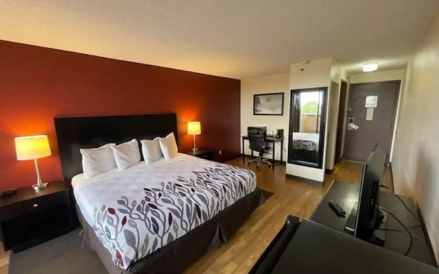 Standard Double room with pool view