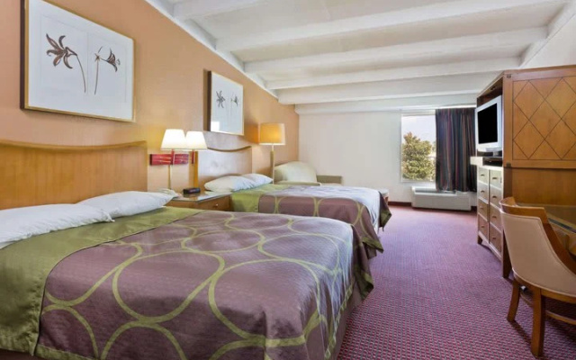 Deluxe Quadruple room