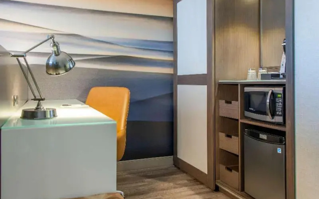 1 Bedroom Double Suite