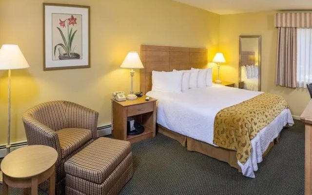1 Bedroom Suite
