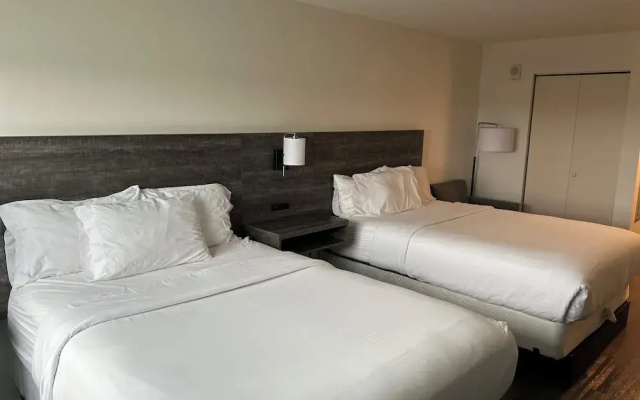 Quadruple Suite