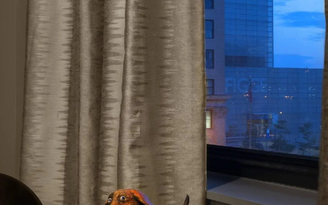 Executive Junior Suite