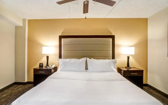 1 Bedroom Double Suite