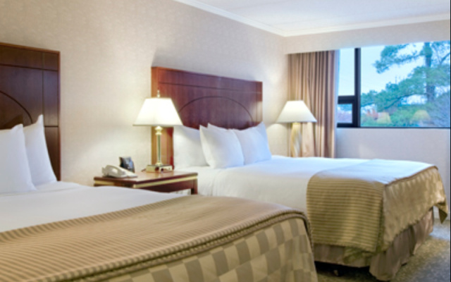 Premier room