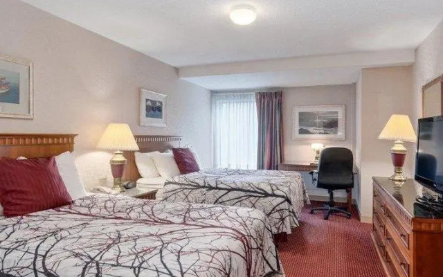 Standard Suite