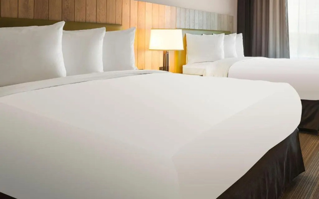 1 Bedroom Quadruple Suite