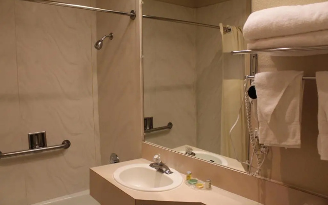 Standard Suite