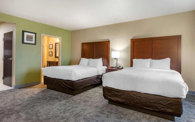 Quadruple Suite