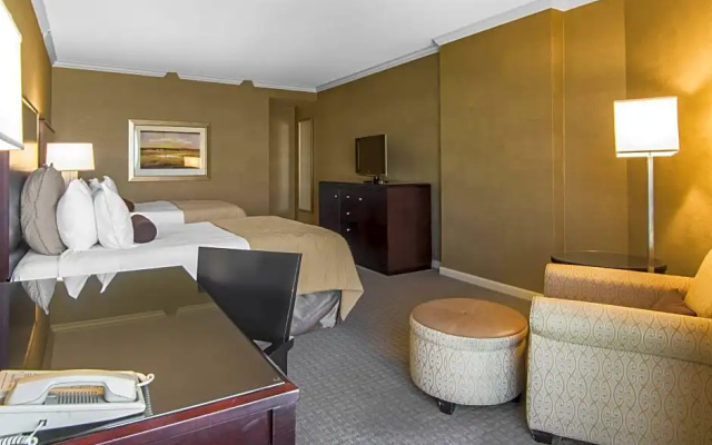 Executive Double Suite