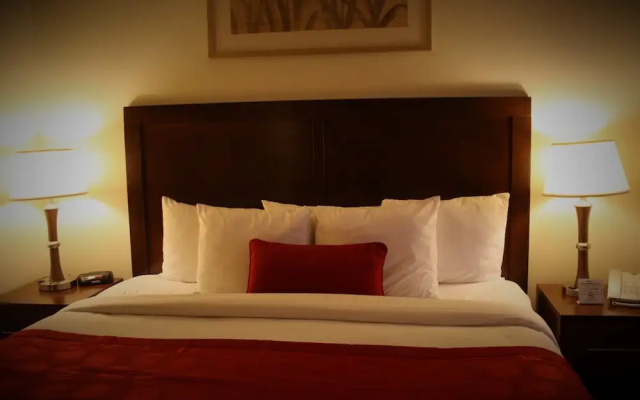1 Bedroom Accessible Suite