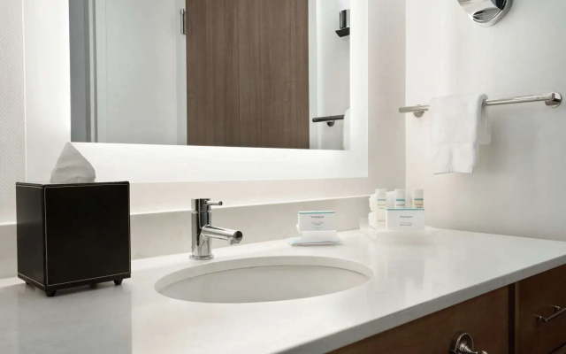 1 Bedroom Suite