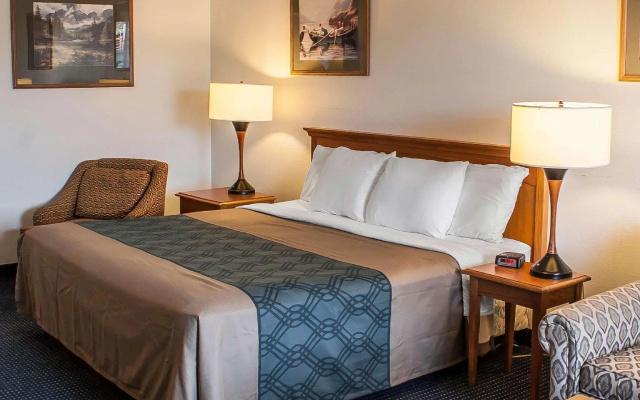 1 Bedroom Standard Double room