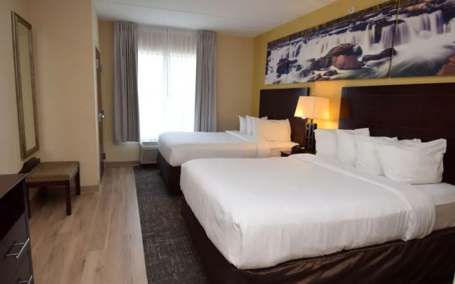 Comfort Suite