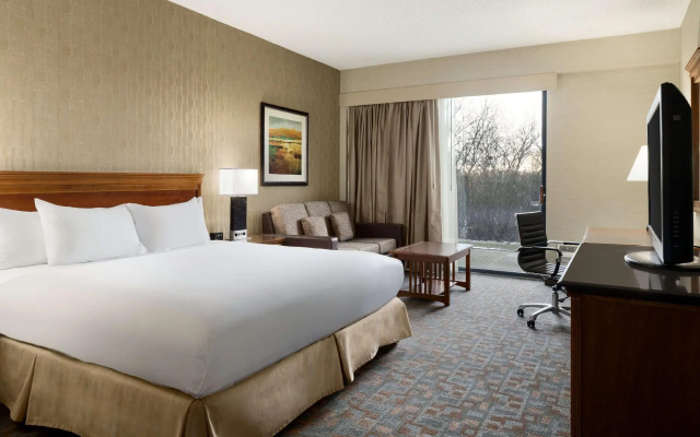 Deluxe Double room with pool view
