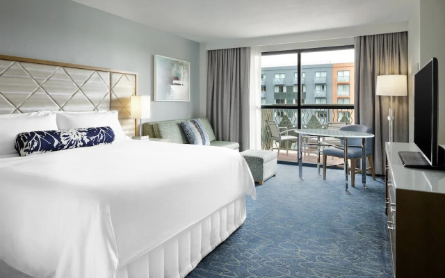 Deluxe Double Guest room with balcony and with Resort view