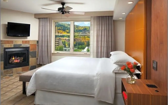 1 Bedroom Premium Villa