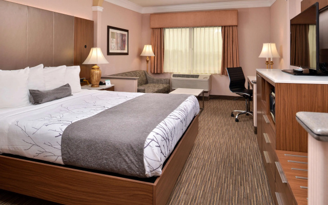 Standard Double room with pool view