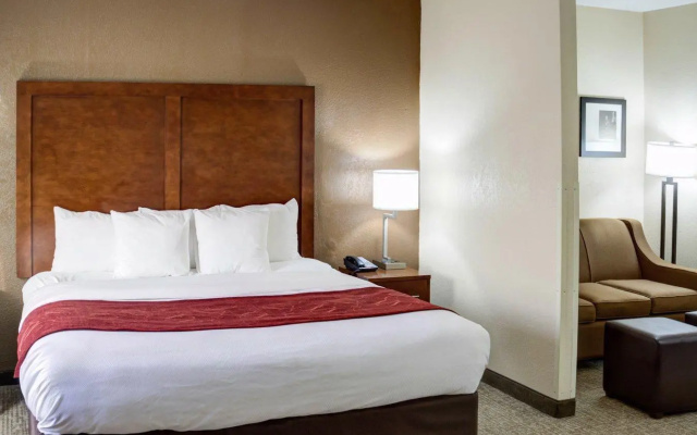 1 Bedroom Suite