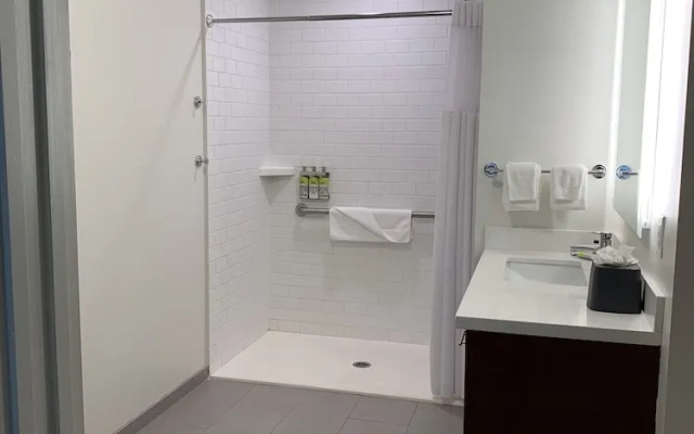 1 Bedroom Suite with view