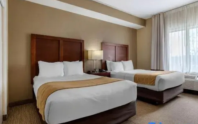 Quadruple Suite