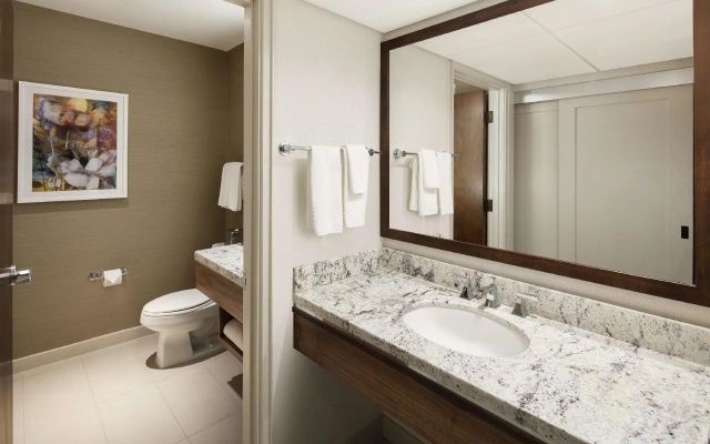 Standard Double room with balcony and with pool view
