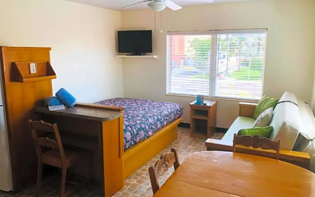 1 Bedroom Apartment